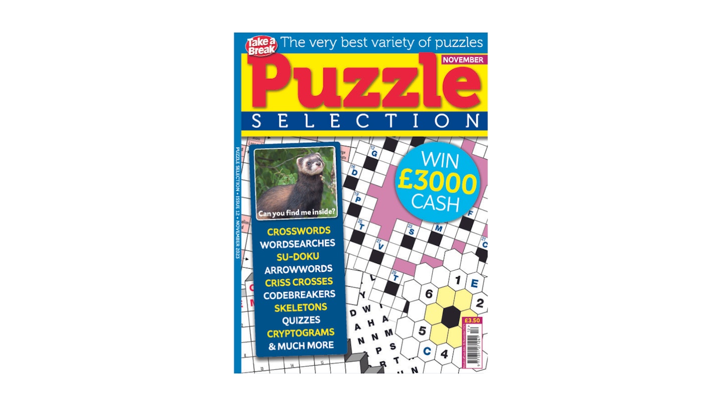 Issue 12 - Puzzle Selection