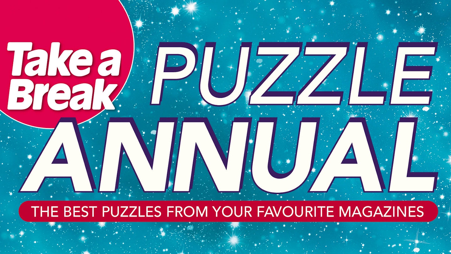 Take a Break Puzzle Annual banner image