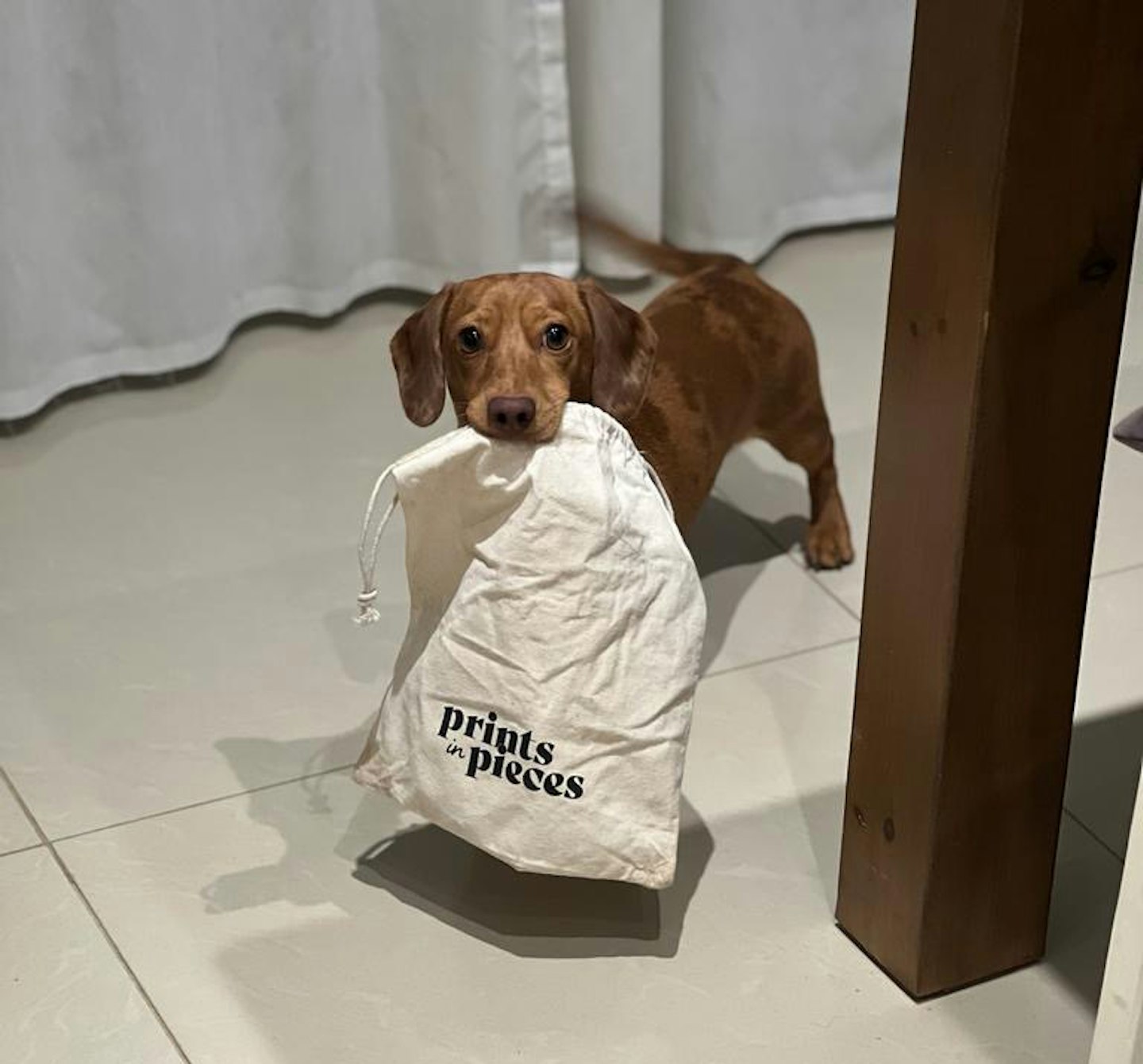 Dog with puzzle tote bag