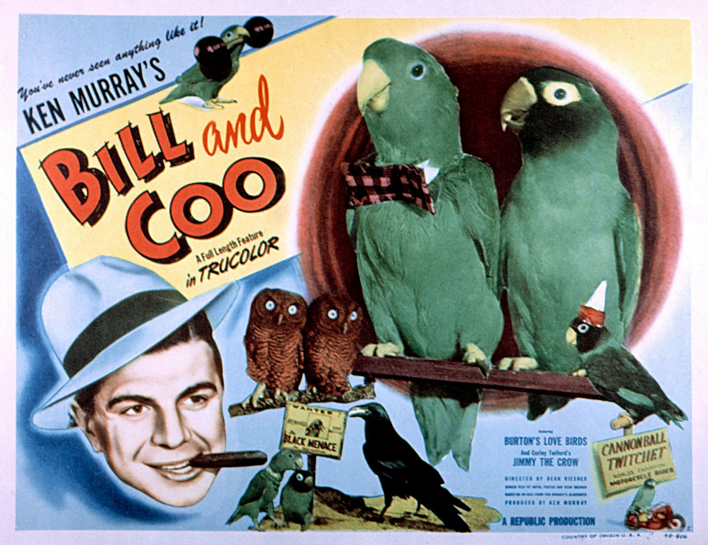 Bill and Coo film poster