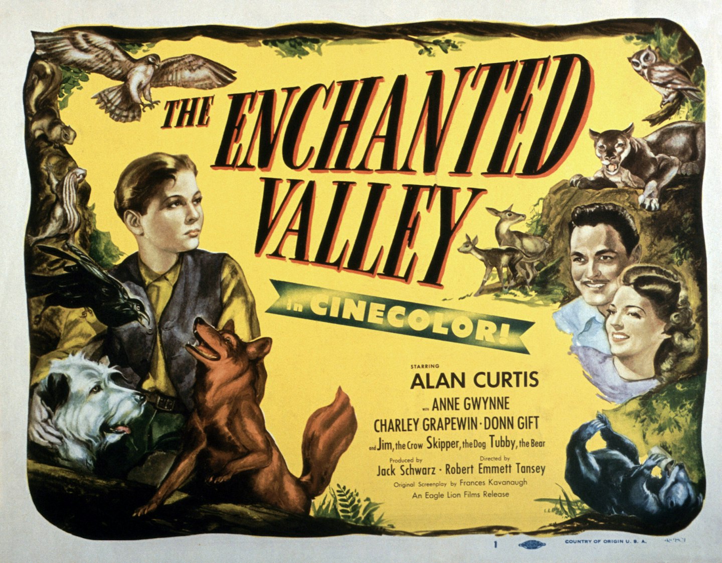 The Enchanted Valley film poster