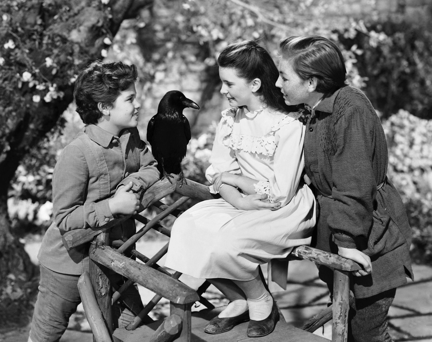 Jimmy the Raven with Dean Stockwell, Margaret O’Brien and Brian Roper in The Secret Garden (1949)