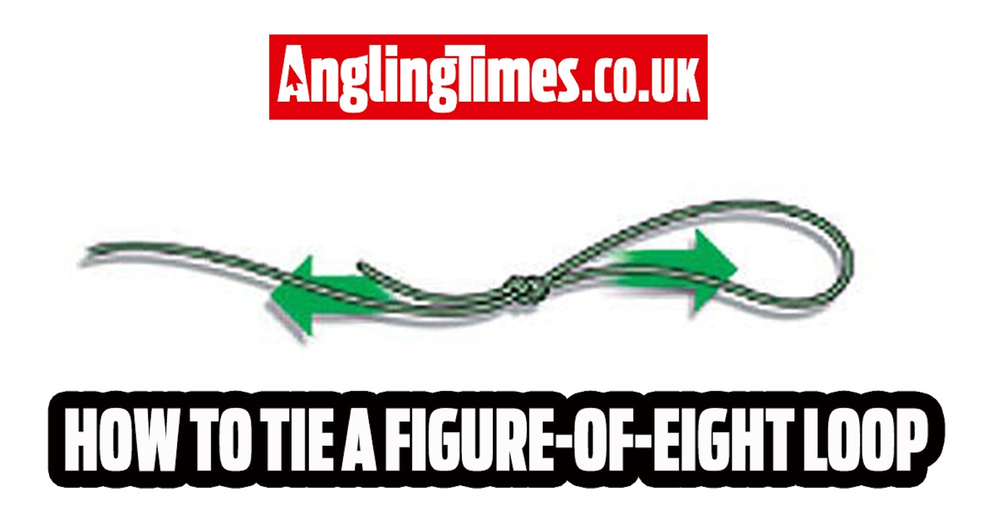 How to tie a figure-of-eight loop fishing knot