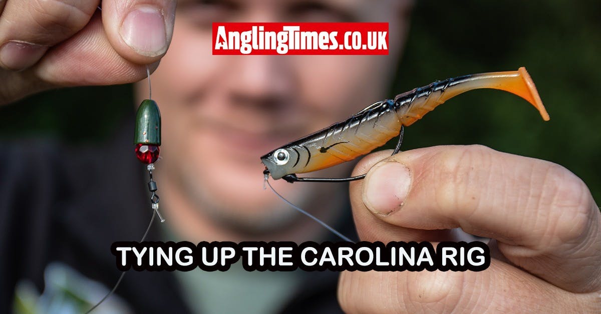 How to tie the Carolina rig | Angling Times