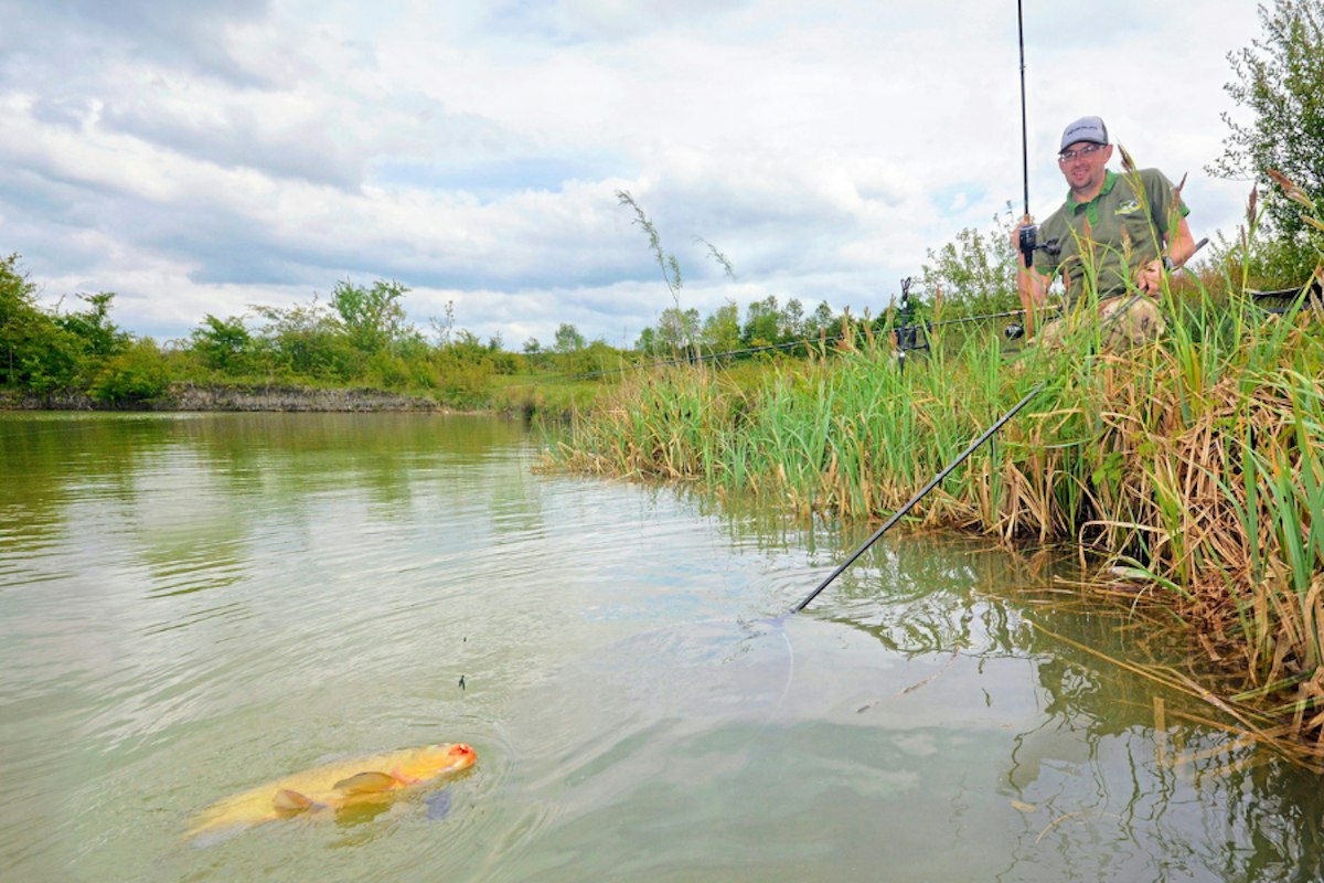 Helicoper Rig How to tie a helicopter feeder rig | Angling Times