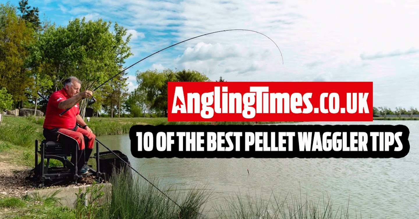 10 of the best pellet waggler tips