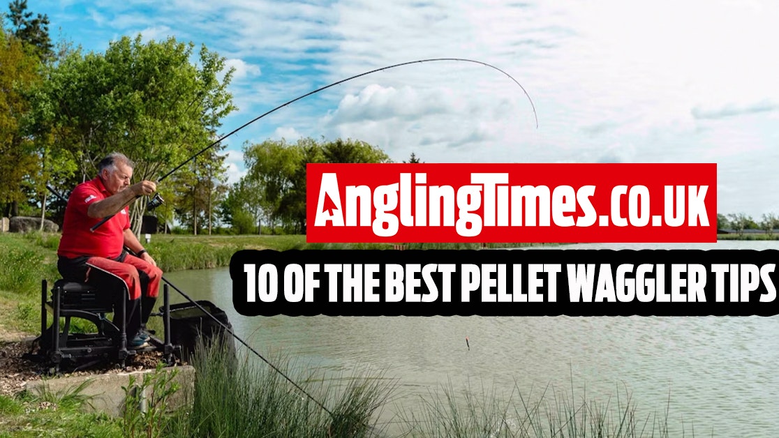best hooks for pellet waggler fishing Guru Super Hook Pellet Waggler Rig Diagram |