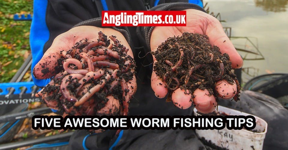 Five worm fishing tips for catching on commercials