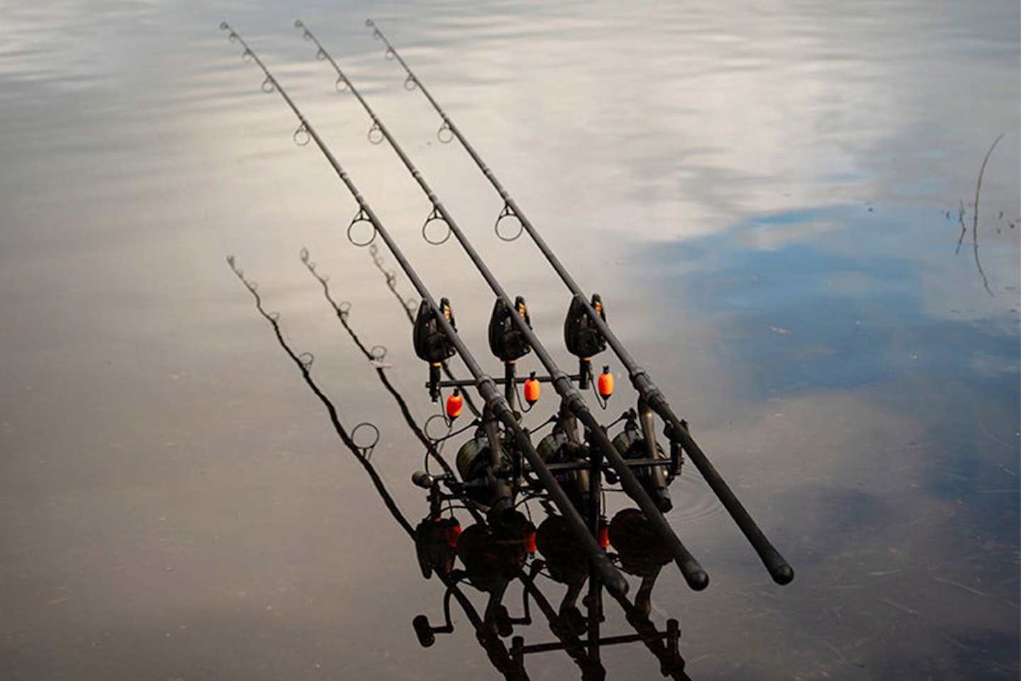 Fox EOS X Carp rod