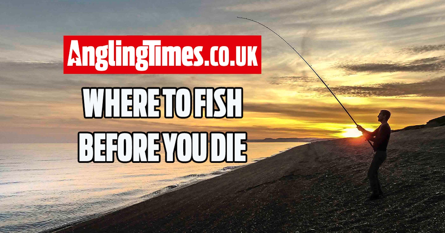 Fishing near me, 15 spots that you must visit before you die!