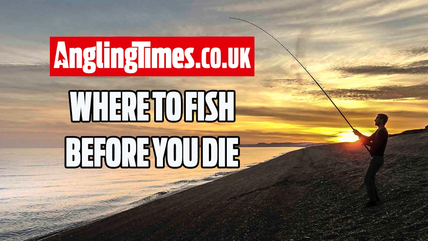 Fishing near me | 15 spots that you must visit before you die!