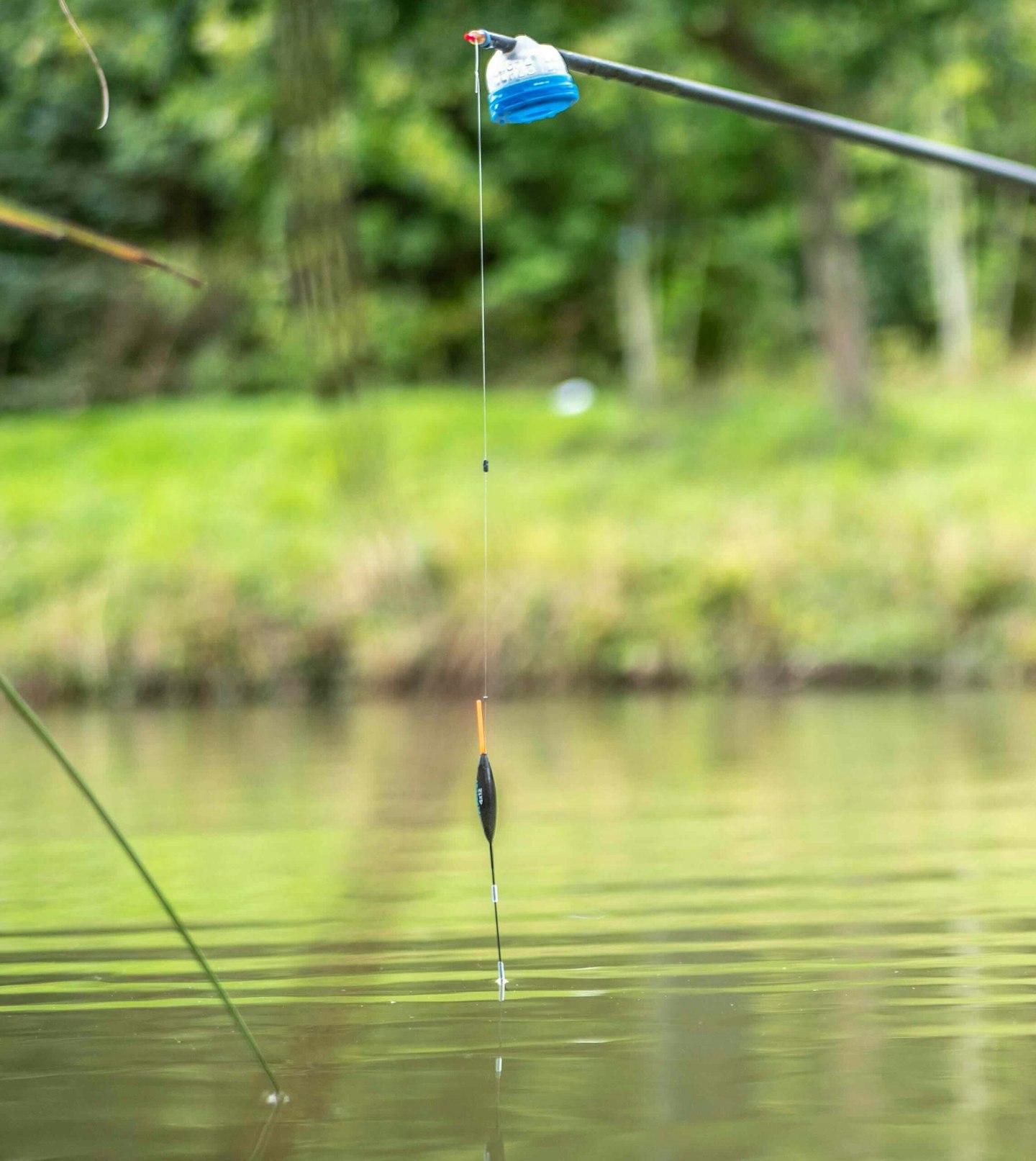 Lifting and dropping the pole float can help instigate a response.