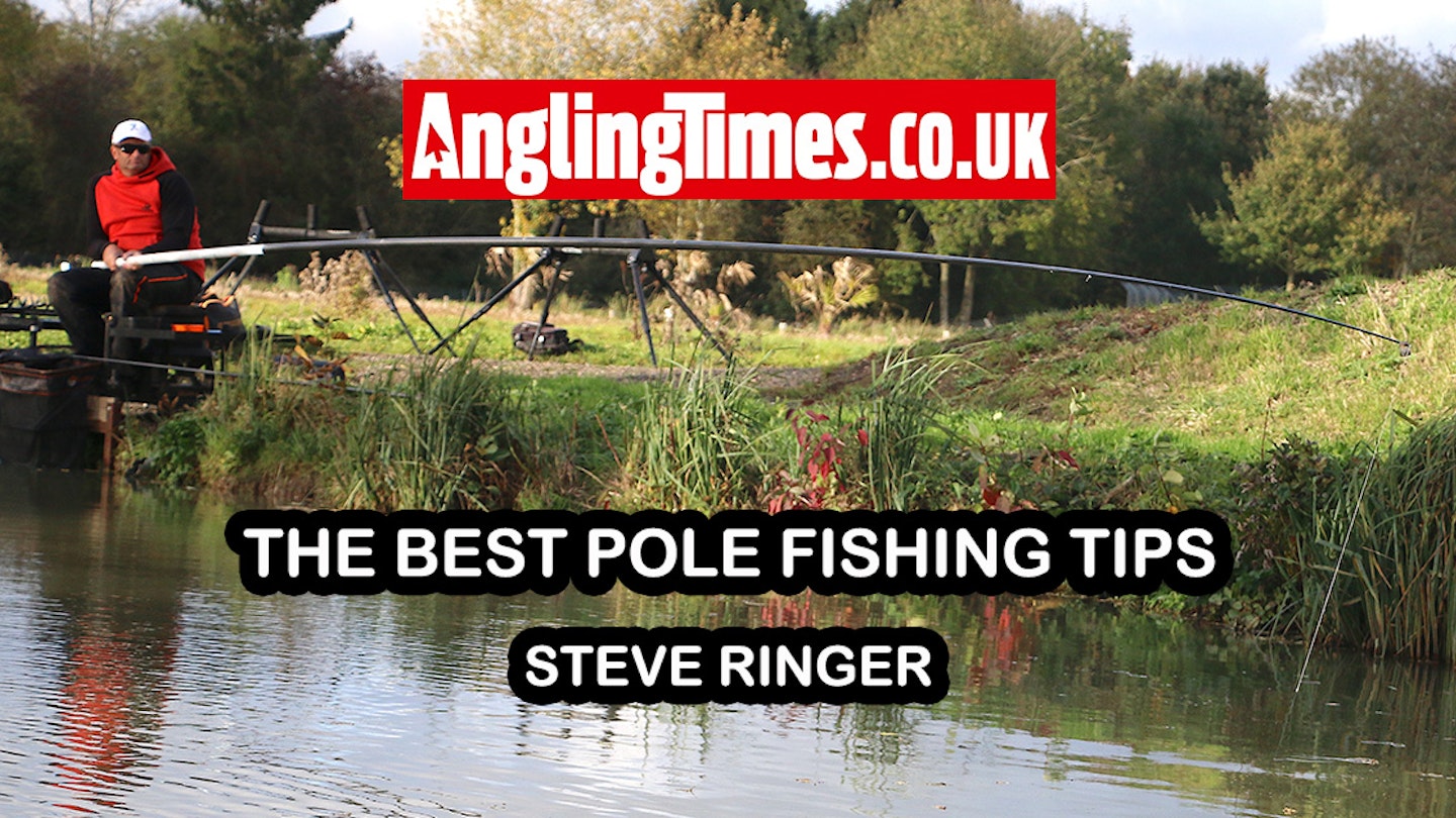 The best pole fishing tips | Steve Ringer