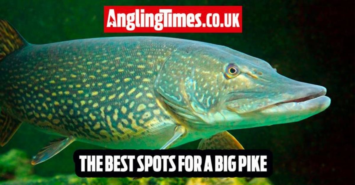 Fishing Near Me, Best Spots For Big Pike