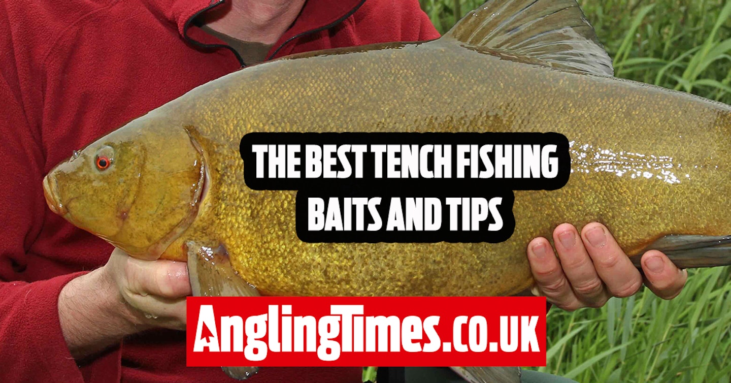 10 of the best tench fishing baits and tips, Paul Garner