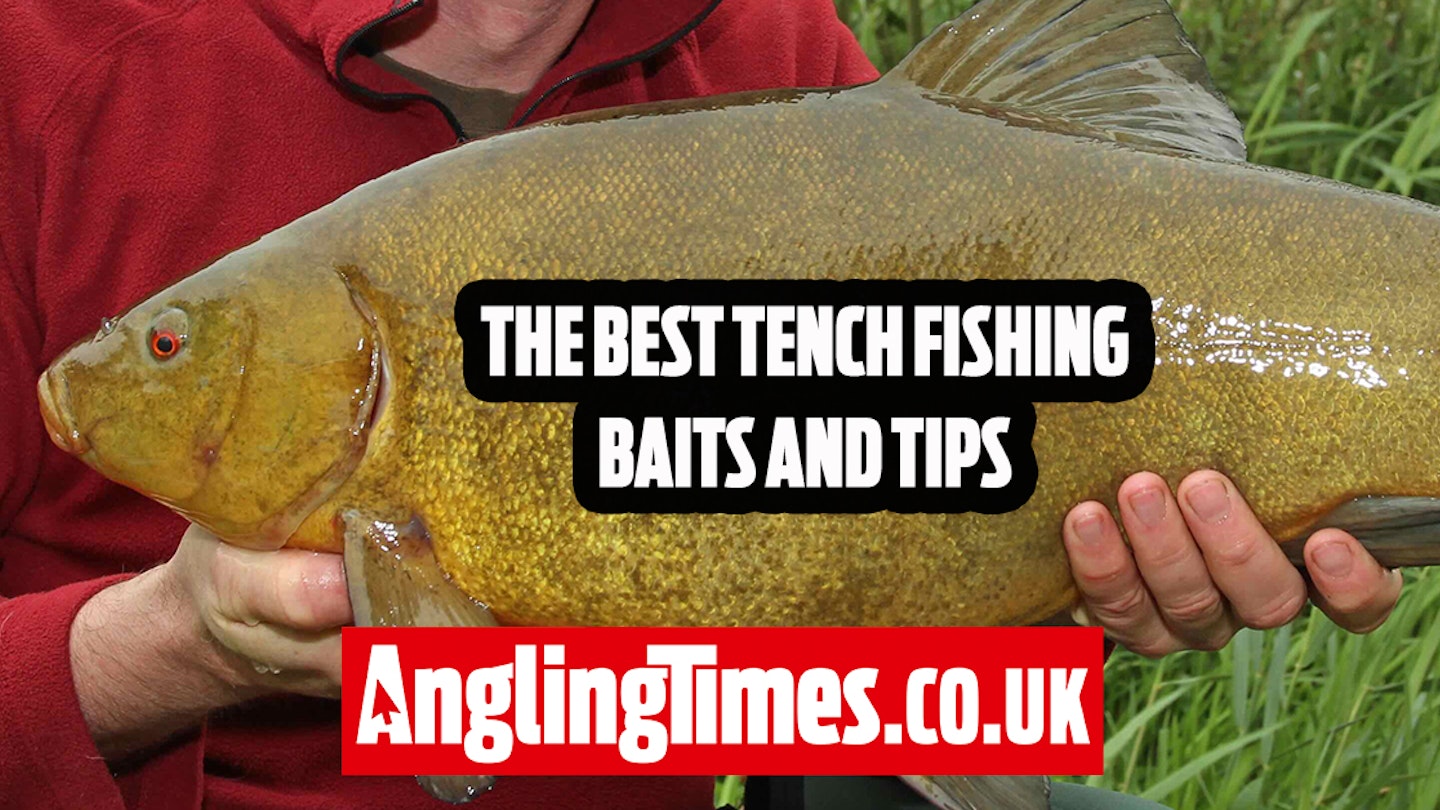 10 of the best tench fishing baits and tips | Paul Garner