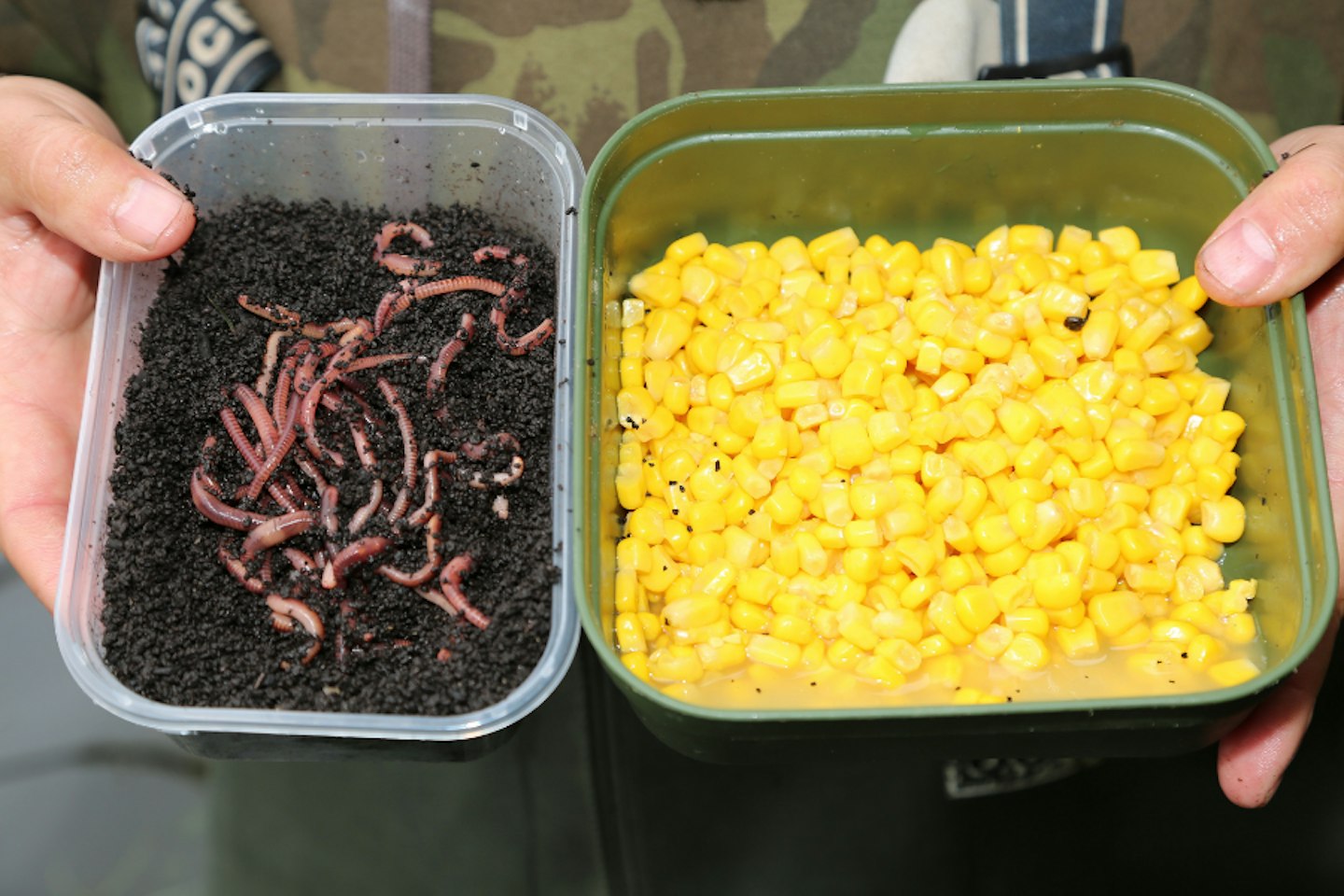 Try this maggot feeder rig for big tench