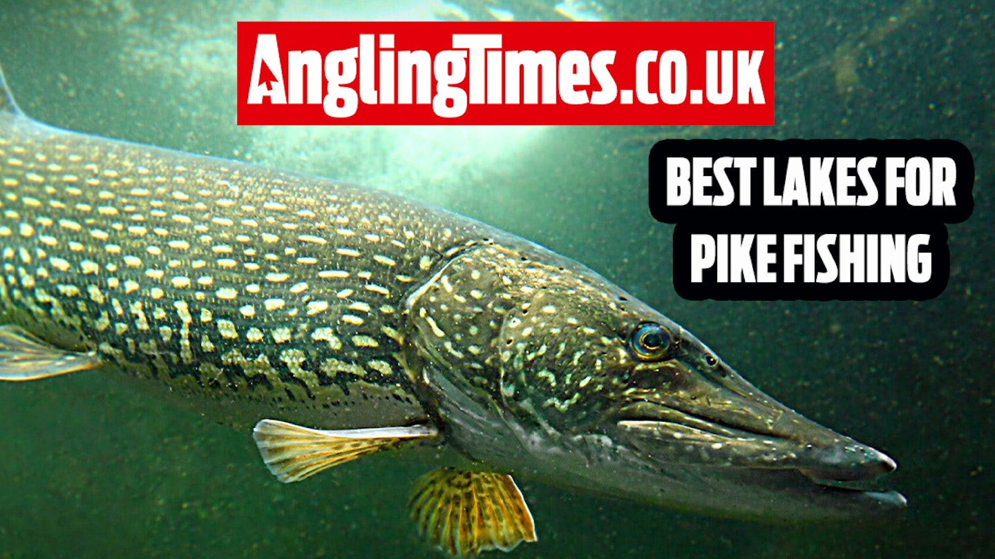 Fishing Near Me: Best Pike Fishing Lakes
