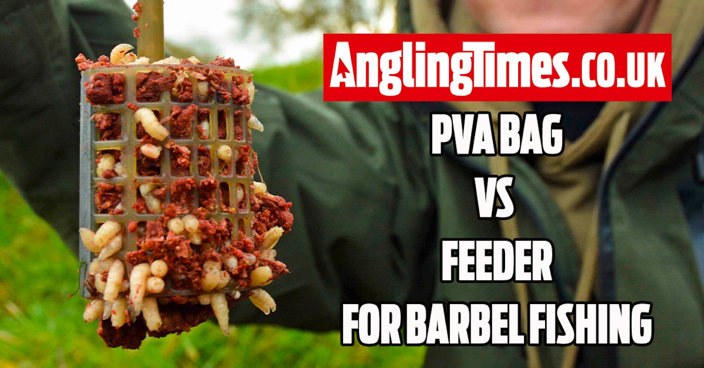 Should you use a feeder or a PVA bag for barbel fishing?
