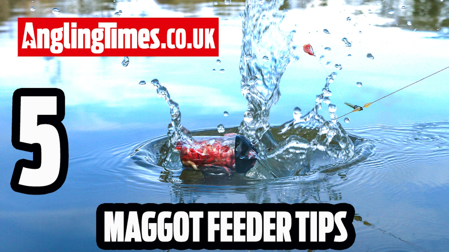 5 Top Tips For Maggot Feeder Fishing On Commercials