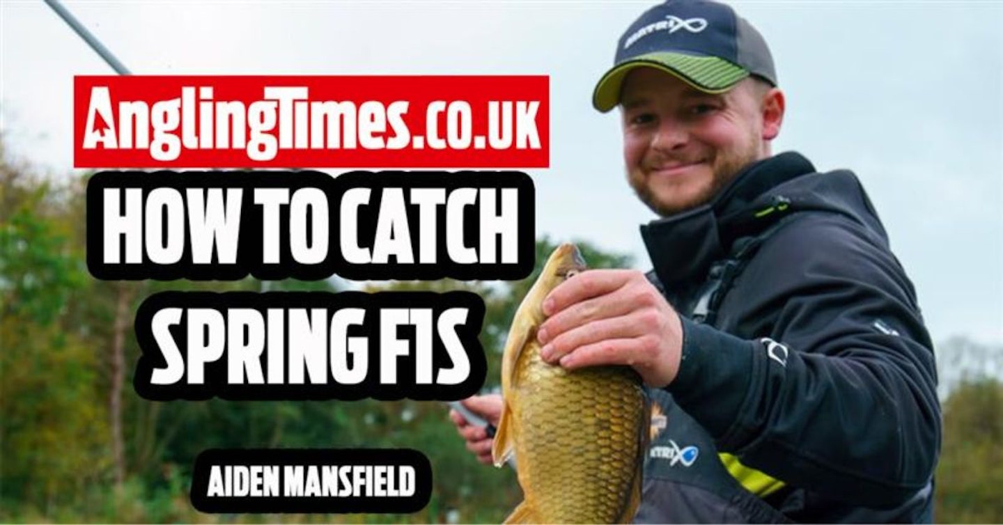 How to catch spring F1s | Aiden Mansfield
