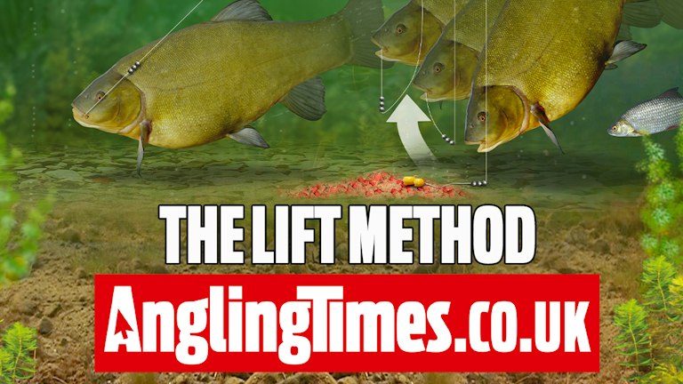 Tench Caster Rigs How to fish the lift method for tench | Angling Times