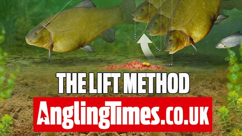 Spring Tench Rigs How to fish the lift method for tench | Angling Times