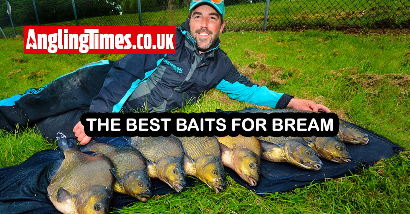 The best baits for bream