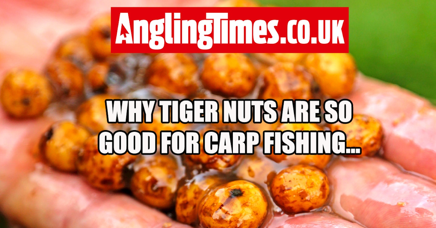 How to Make FLAVORED Tiger Nuts for Carp Fishing! (Home Made Carp