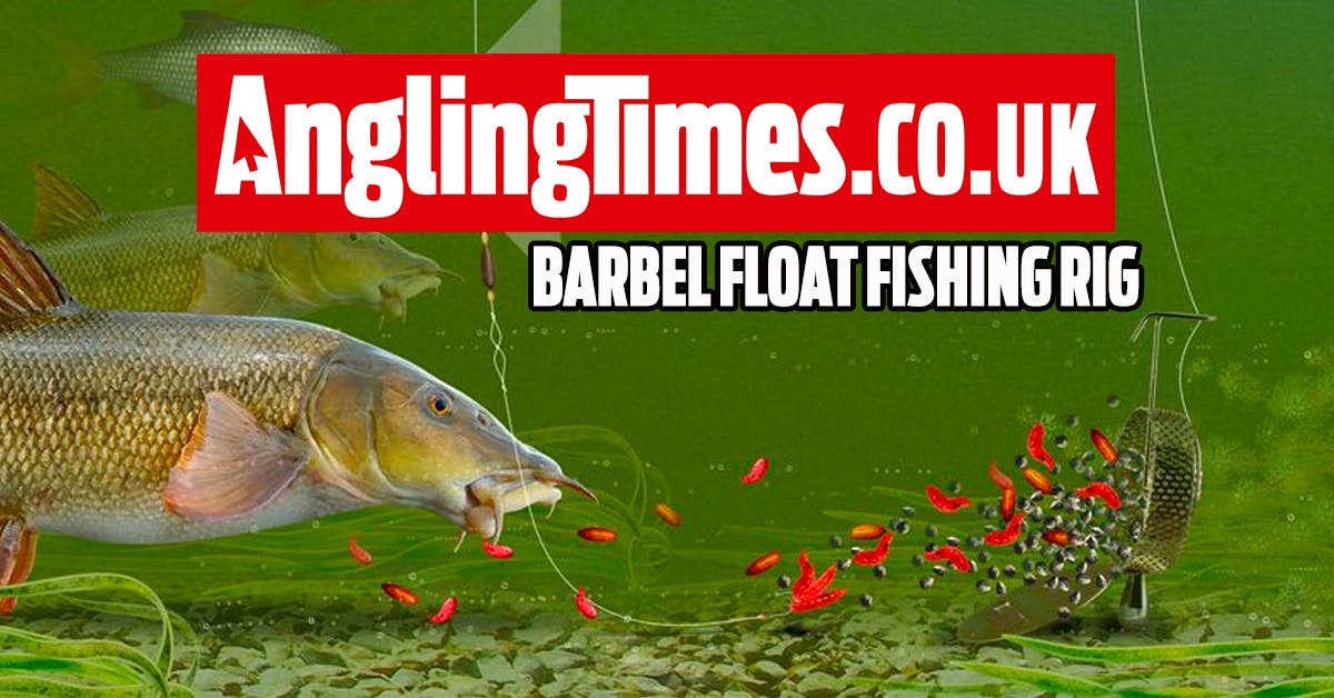 The best trotting rig for barbel Angling Times