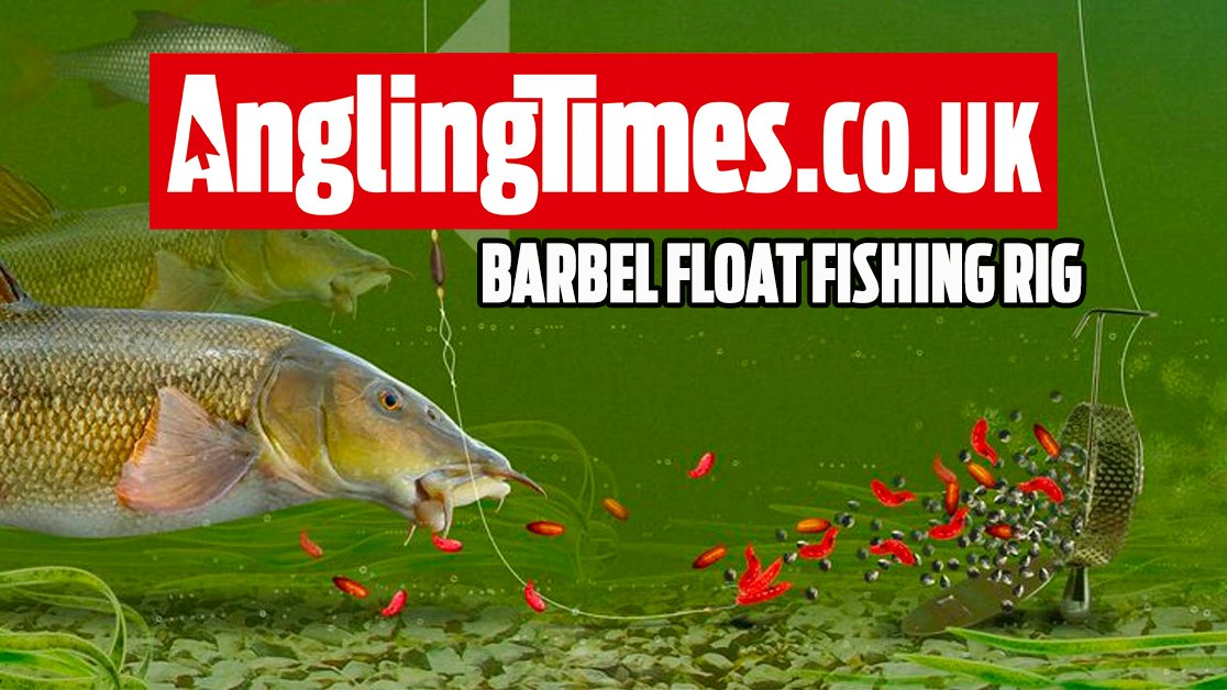 Barbel Rigs Using Fluro The best trotting rig for barbel | Angling Times