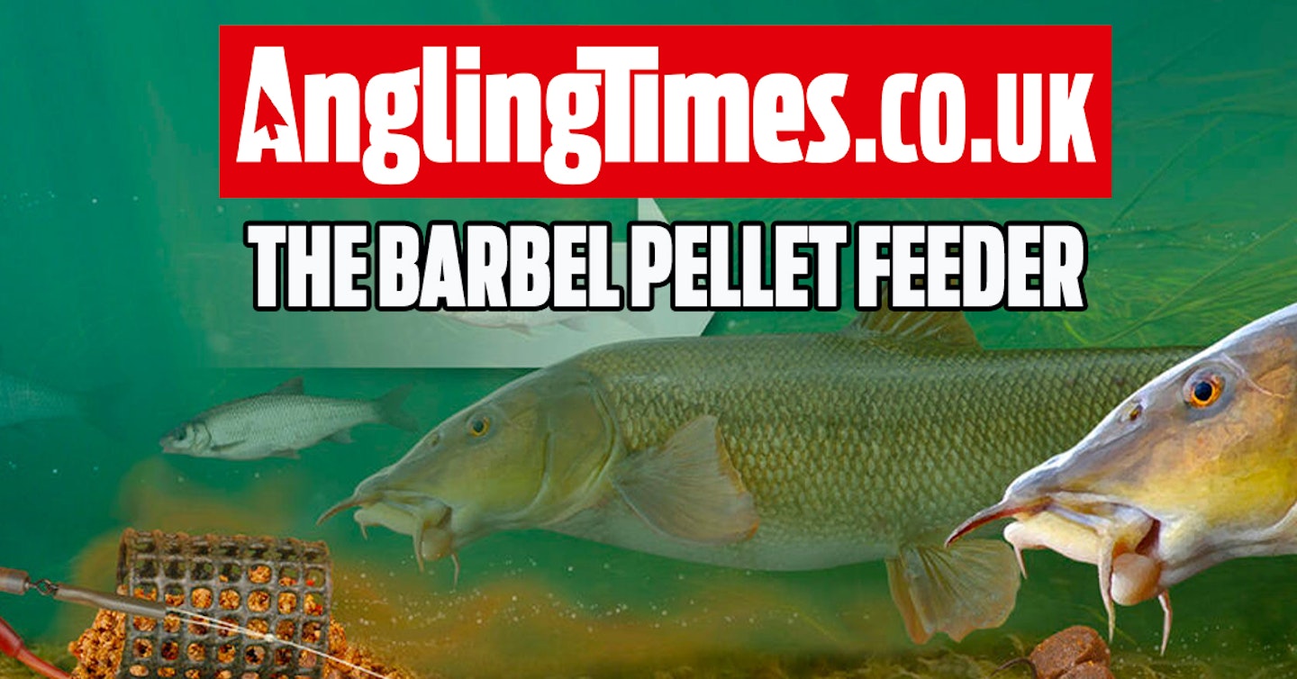 How to make the barbel pellet feeder rig