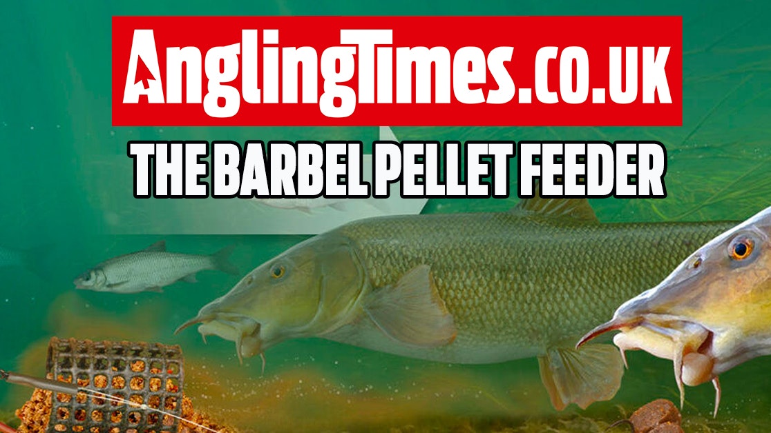 How to make the barbel pellet feeder rig