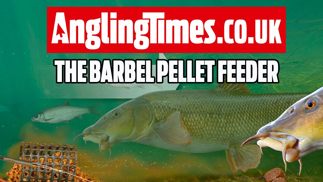 How to make the barbel pellet feeder rig | Angling Times