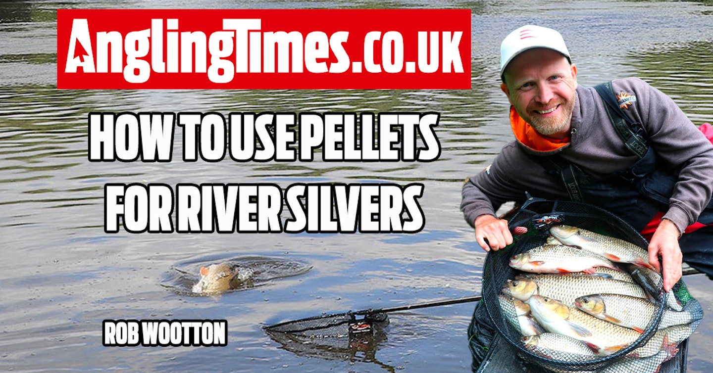 How to fish pellets for a mixed net on the river - Rob Wootton
