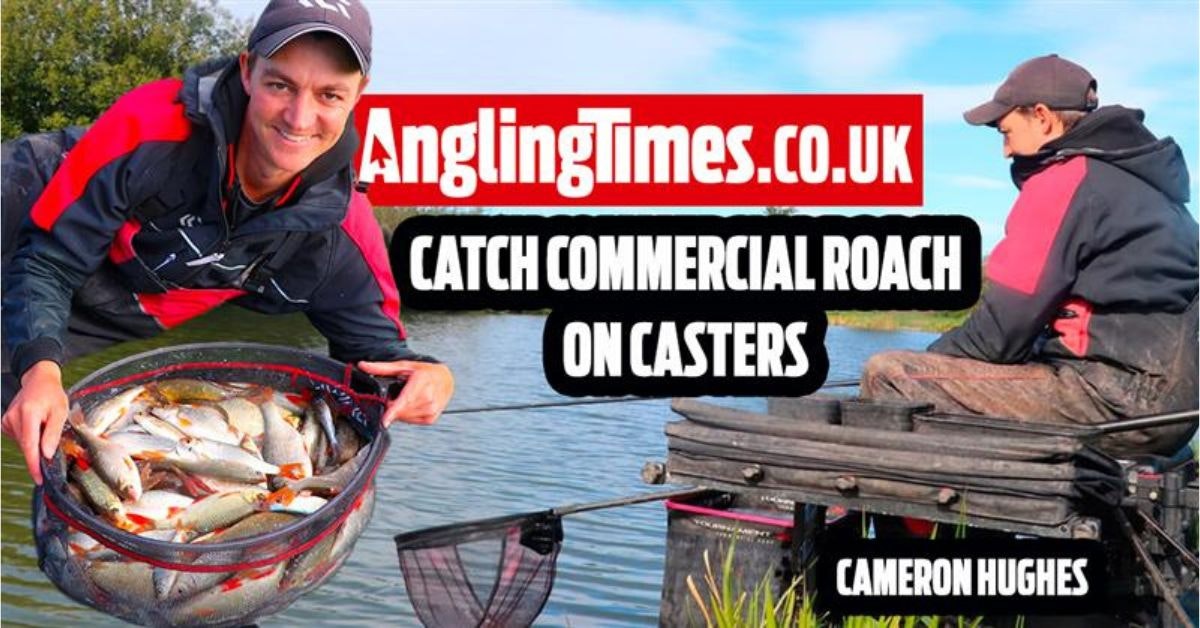 Catch commercial roach on casters, Cameron Hughes
