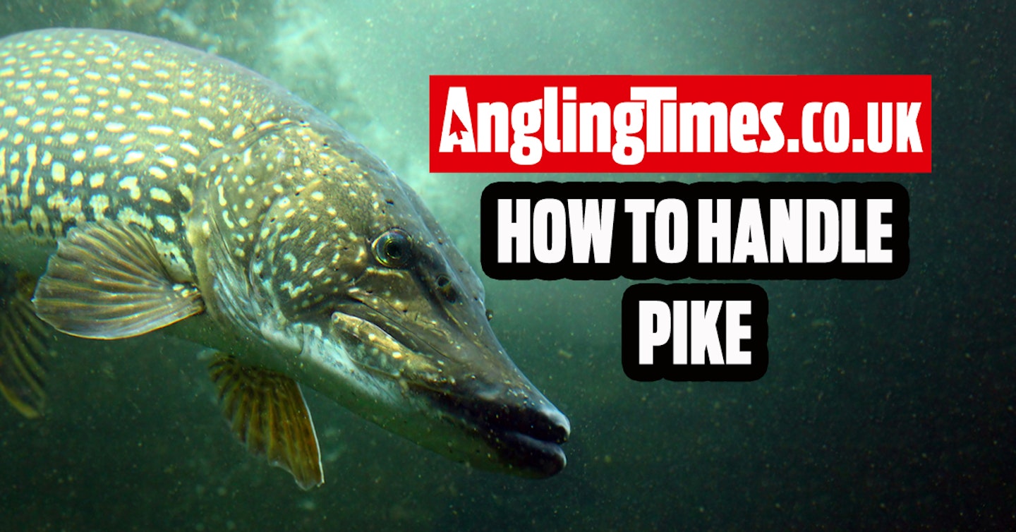 How to handle pike