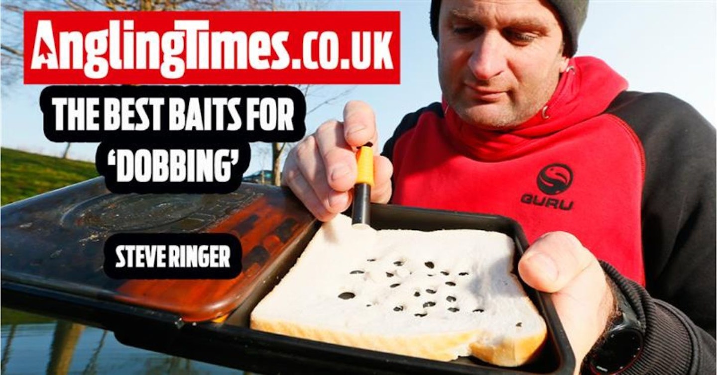 The best baits for dobbing | Steve Ringer