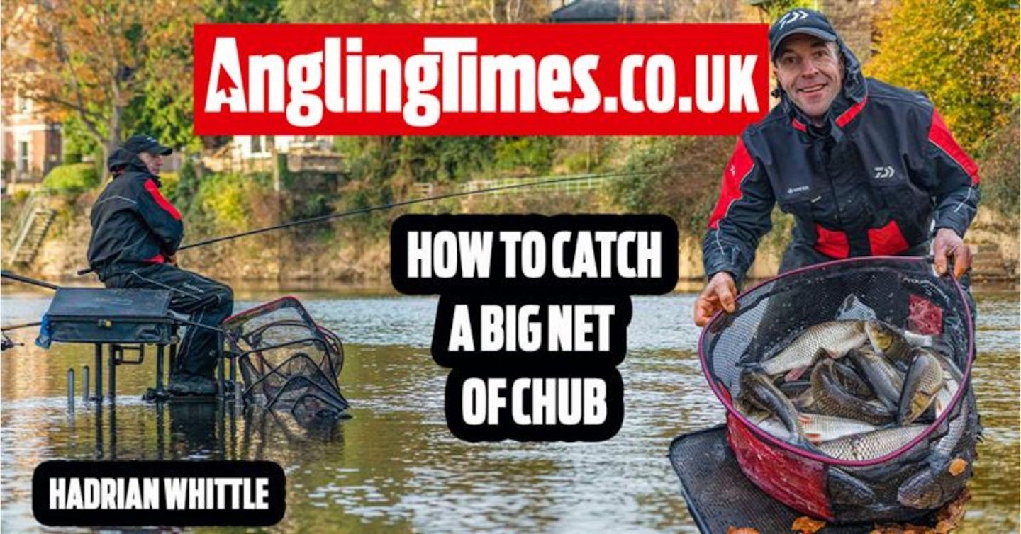 How to catch a big net of chub | Hadrian Whittle