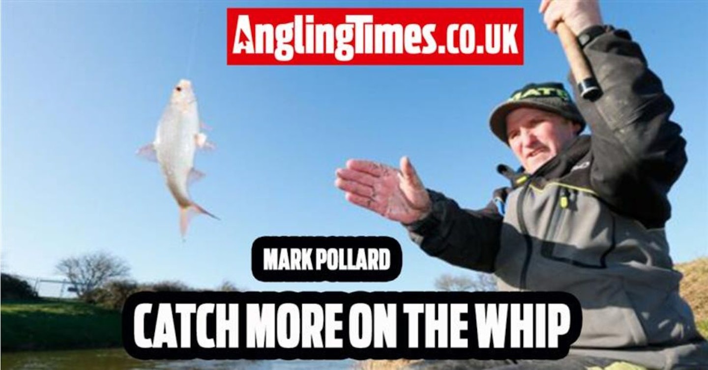 Catch more on the whip | Mark Pollard
