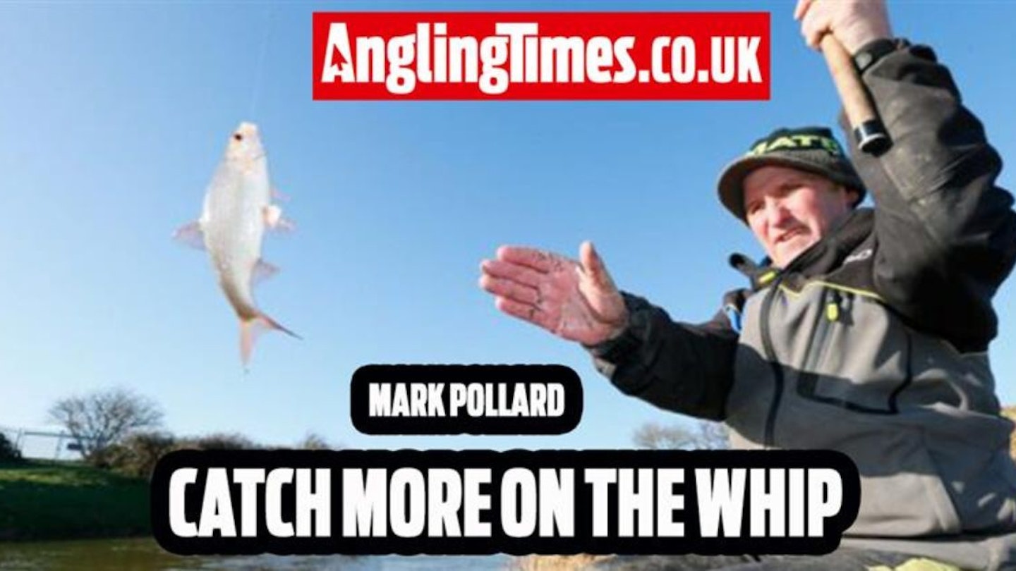 Catch more on the whip | Mark Pollard