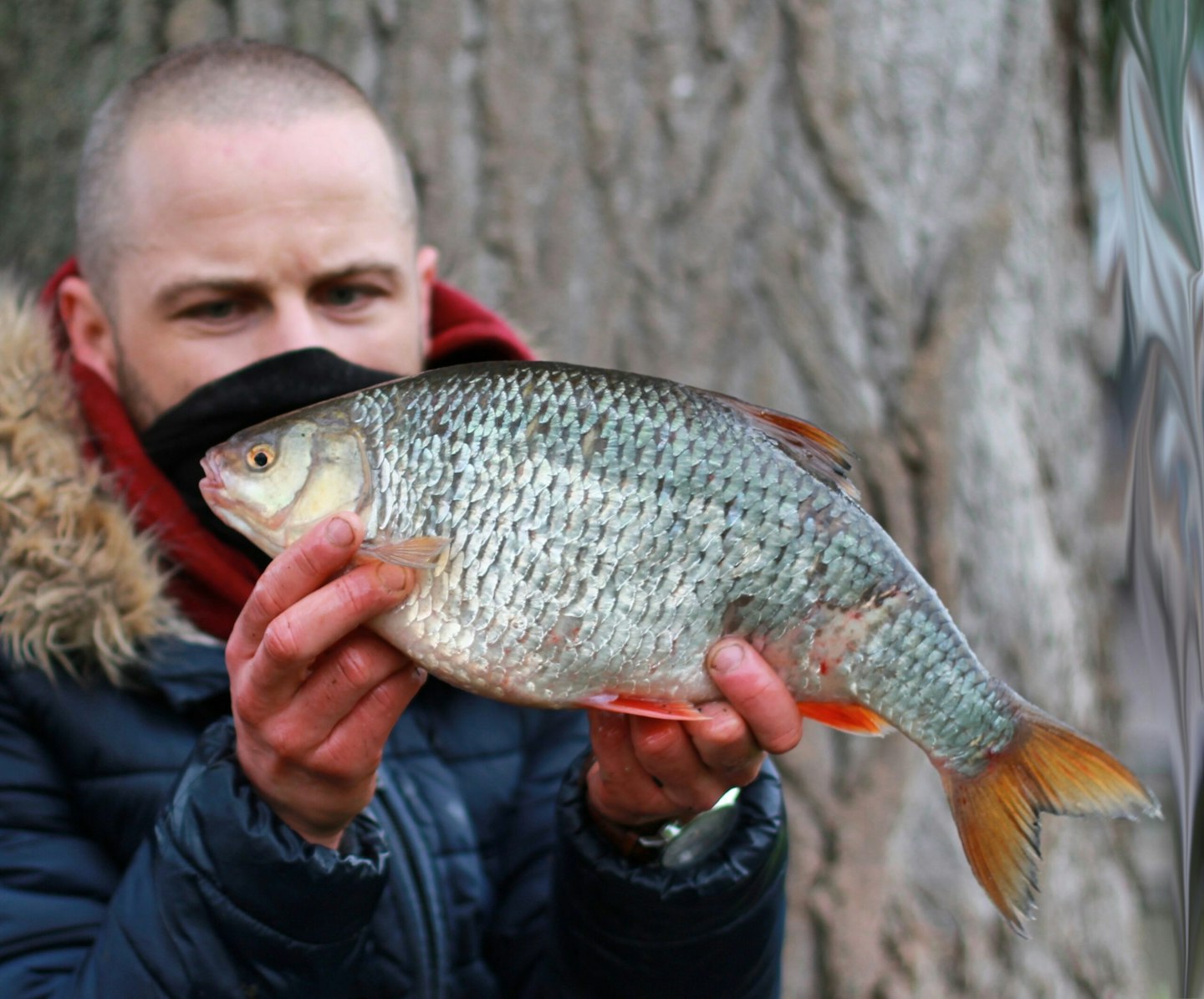 Duncan Hayward - 3lb 4oz Thames roach