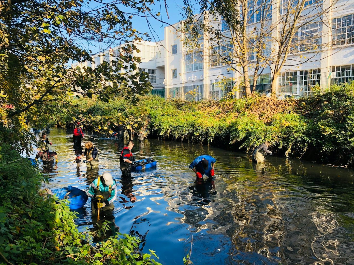 CITIZEN POWER BOOSTS BRITISH RIVER REVIVAL!