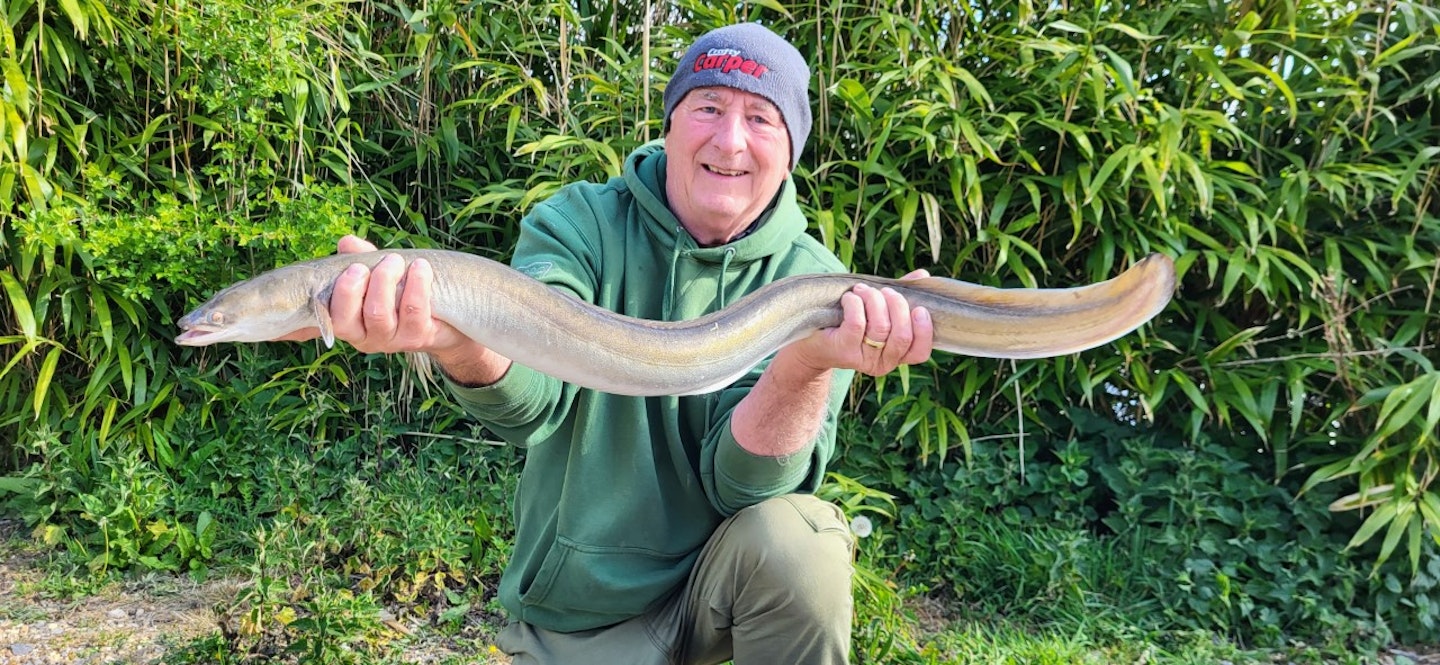 Shortening my hair-rigs caught this awesome eel” – Bill Phillips