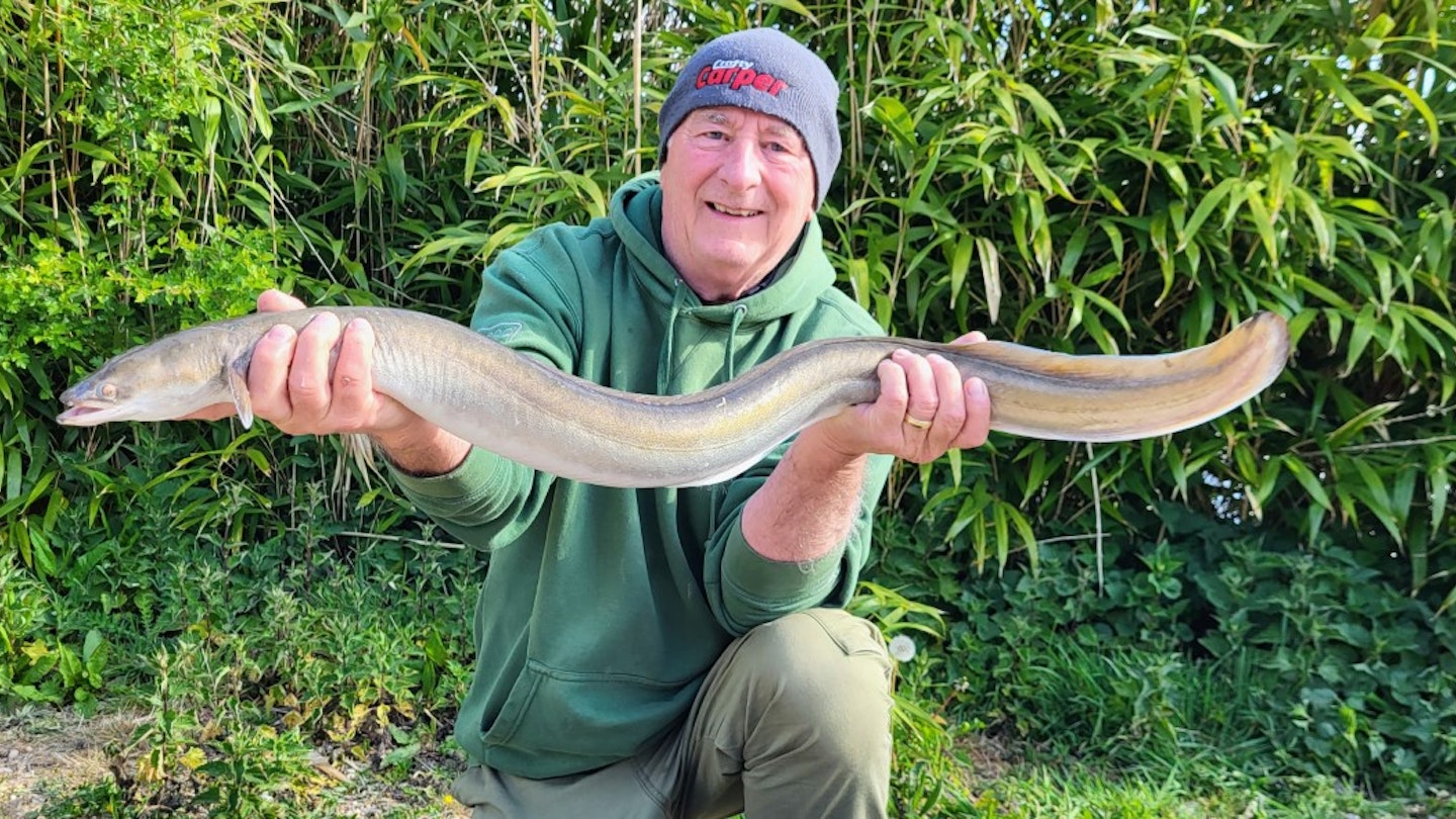 “Shortening my hair-rigs caught this awesome eel"