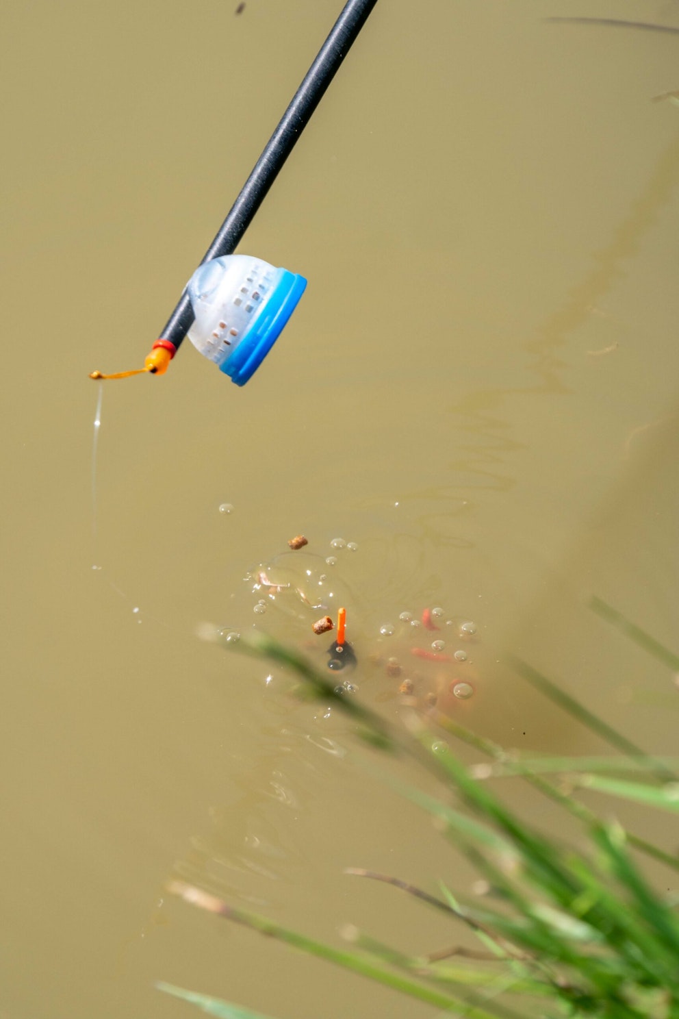 5 Tips for spring margin fishing Angling Times