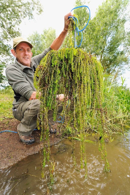 How to have the perfect tench swim | Angling Times