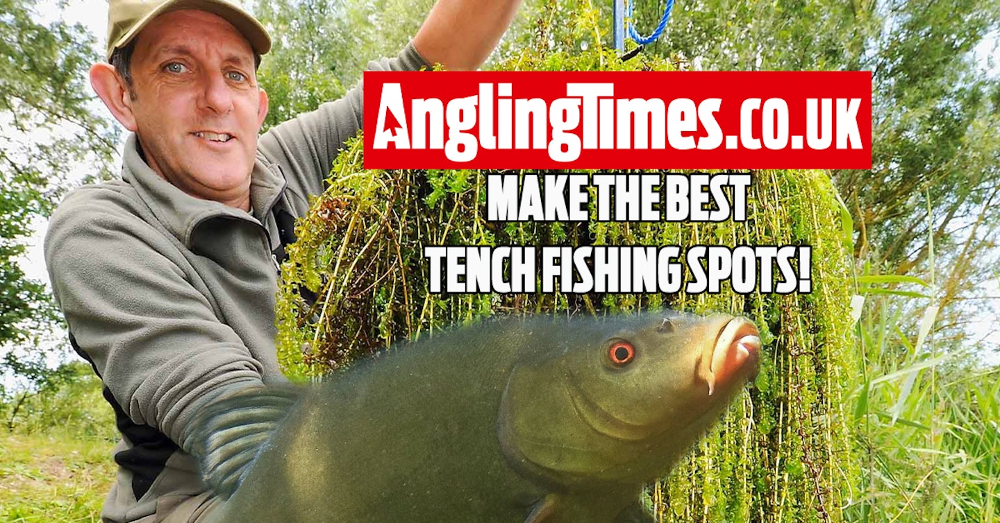 How to have the perfect tench swim
