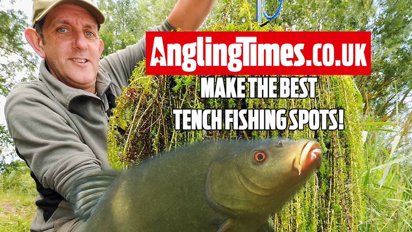 How to have the perfect tench swim