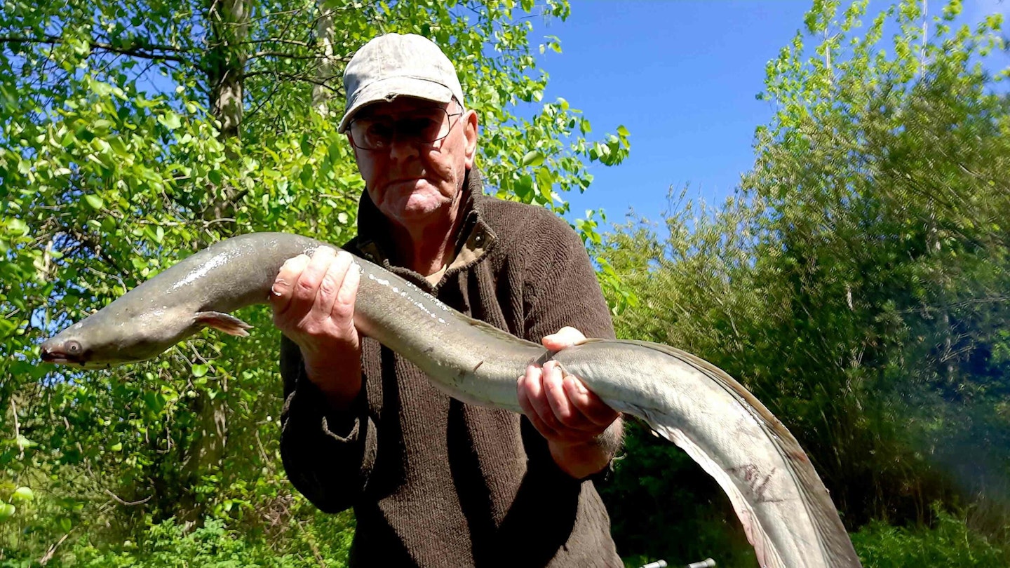 "This eel was as strong as a bull" - Dick Stewart